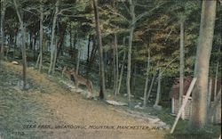 Deer Park Uncanoonuc Mountain Postcard