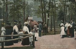 Feeding Camels in Zoological Garden Lexington Park, MD Postcard Postcard Postcard