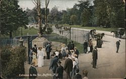 Entrance to the Zoo Buffalo, NY Postcard Postcard Postcard