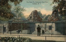 The Bear Pit at Delaware Park Zoo Buffalo, NY Postcard Postcard Postcard