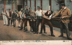 Central Park Menagerie, Feeding a Snake New York, NY Postcard Postcard Postcard