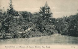 Central park and Museum of Natural History Postcard