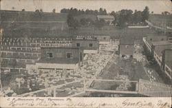 C.F. Beaumont Brazilian Duck Farm Postcard