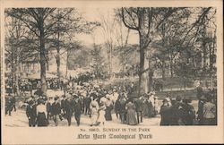 Sunday in the Park, New York Zoological Park Postcard