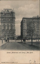 Hotels Netherland and Savoy New York, NY Postcard Postcard Postcard