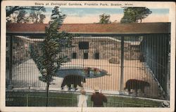 Bears at Zoological Gardens, Franklin Park Postcard