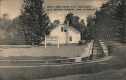 New York State Fish Hatchery at Cold Spring Harbor Postcard Postcard Postcard