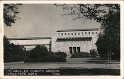 Los Angeles County Museum-Exposition Park California Postcard Postcard Postcard