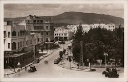 Le Jardin et l'Avenue du 4th Tirailleur Fez, Morocco Africa Postcard Postcard Postcard