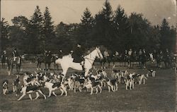 People on Horses Surrounded by Dogs Postcard