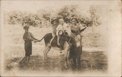 Children Playing with Donkey Postcard Postcard Postcard