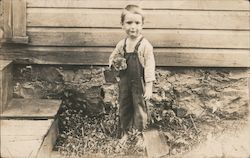 Little Boy Holding Kitten and a Shovel Postcard