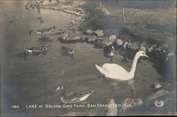 Lake at Golden Gate Park San Francisco, CA Postcard Postcard Postcard