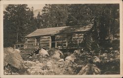 Social Hall - "Log Cabin" Buildings Postcard Postcard Postcard