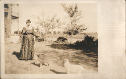 A woman standing in the yard playing with two dogs. Postcard