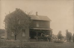 Horses Stationed in Front of a House Buildings Postcard Postcard Postcard