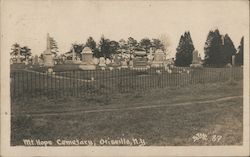 Mt. Hope Cemetary Otisville, NY Still Postcard Postcard Postcard