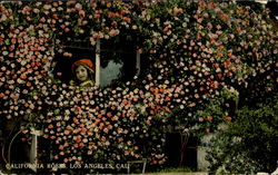 California Roses Los Angeles, CA Postcard Postcard