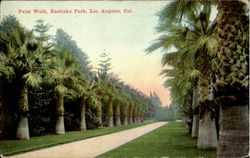 Palm Walk, Eastlake Park Los Angeles, CA Postcard Postcard