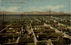 Stock Yard Postcard