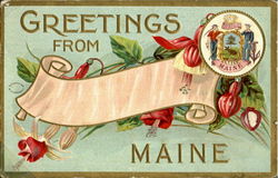 Greetings from maine Scenic, ME Postcard Postcard