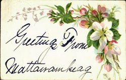 Greetings from Mattanamkeag Postcard