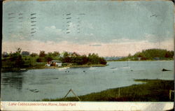 Lake Cobbosseecontee Island Park, ME Postcard Postcard