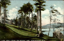 Lake View Lodge Big Moosle Lake Adirondacks, NY Postcard Postcard