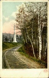 Birches at Morningside Postcard