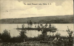 The Island Pleasant Lake Elkins, NH Postcard Postcard