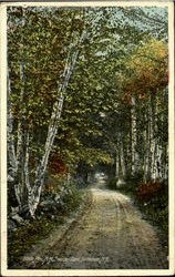 White Mts., N.H., Swazey Lane, Bethlahem Bethlehem, NH Postcard Postcard