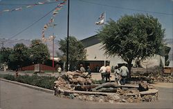 Tri-County Fair Postcard