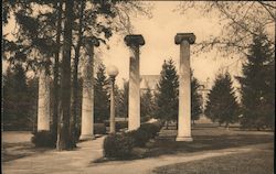 Historic Columns, University of Washington Seattle, WA Postcard Postcard Postcard