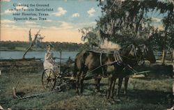 Cleaning the Ground on San Jacinto Battlefield Houston, TX Postcard Postcard Postcard