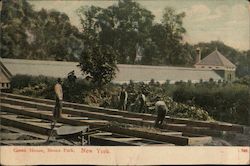 Green House, Bronx Park New York Postcard Postcard Postcard