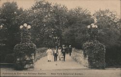 Approach to Elevated Railway Station, New York Botanical Garden Postcard