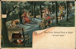 New York Central Park at Night "Lovers Lane" Postcard