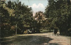 Drive Way 74th Street, Central Park New York, NY Postcard Postcard Postcard