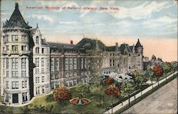 American Museum of Natural History New York, NY Postcard Postcard Postcard