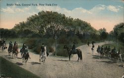 Bridle Path, Central Park Postcard