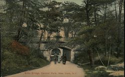 Echo Bridge, Central Park New York, NY Postcard Postcard Postcard