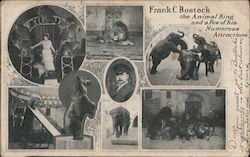 Frank C Bostock Animal King Circus Postcard Postcard Postcard