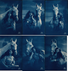 Set of 6: Tinted Long-Haired Woman with White Horse Horses Postcard Postcard Postcard