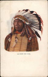 Chief Red Cloud Native Americana Postcard Postcard Postcard