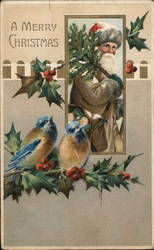 A Merry Christmas - Santa and Birds Santa Claus Postcard Postcard Postcard