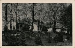 Green Lantern Cabins - Tea Room - Guest House Postcard