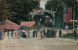 The Entrance Lily Dale, NY Postcard Postcard Postcard