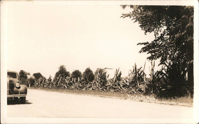 Car Driving Down a Road in Trufant, MI Michigan Postcard