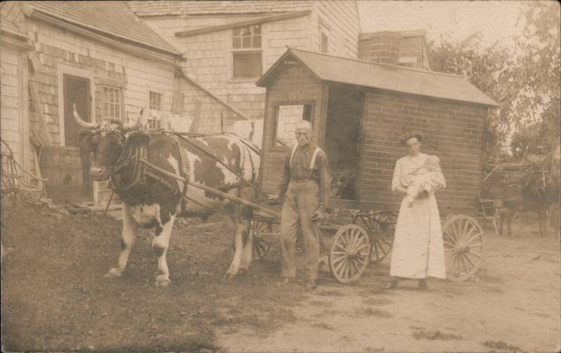 Man, woman, and baby in front of ox-pulled tiny house Horse-Drawn Postcard