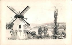 Windmill in a field Postcard